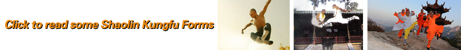 Shaolin Kung Fu forms