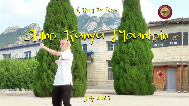 1753778352989175.jpeg wing chun.jpeg