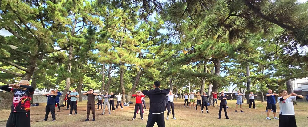 1764462501768300.jpg japan osaka kung fu school.jpg